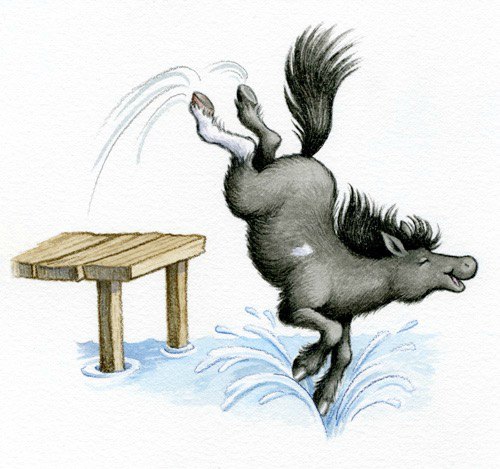 Bitty jumping into the pond Bitty jumping into the pond