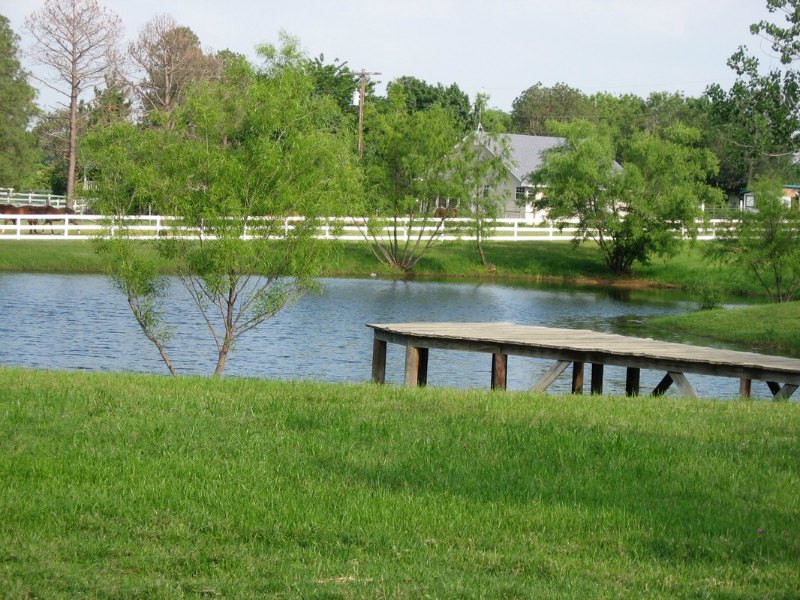 The pond in front of Itty and Bitty's barn The pond in front of Itty and Bitty's barn