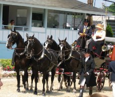 Horse show 2