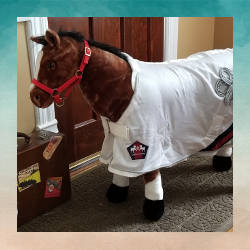 Micro, our mini ambassador!