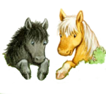 Itty & Bitty: Two Miniature Horses Children's Book Series